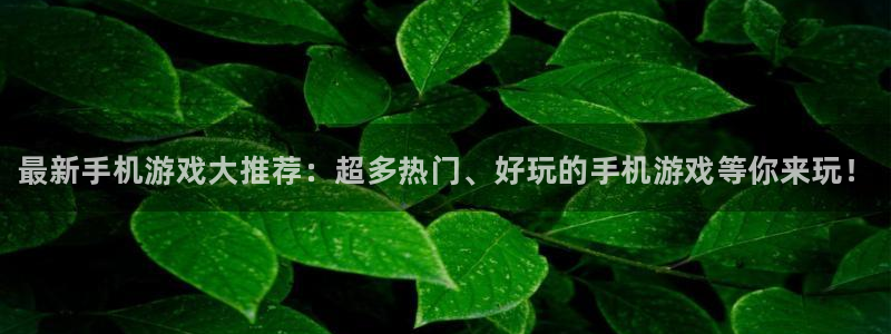 杜邦娱乐官方平台：最新手机游戏大推荐：超多热门、好玩的手机游