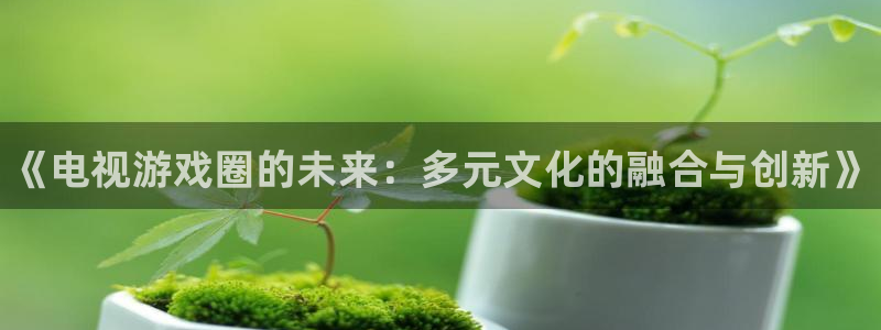 杜邦娱乐注册测速：《电视游戏圈的未来：多元文化的融合与创新》