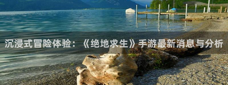杜邦娱乐的意思：沉浸式冒险体验：《绝地求生》手游最新消息与分