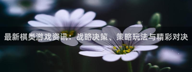 杜邦娱乐4招商：最新棋类游戏资讯：战略决策、策略玩法与精彩对