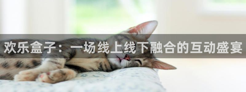 杜邦娱乐4招商：欢乐盒子：一场线上线下融合的互动盛宴