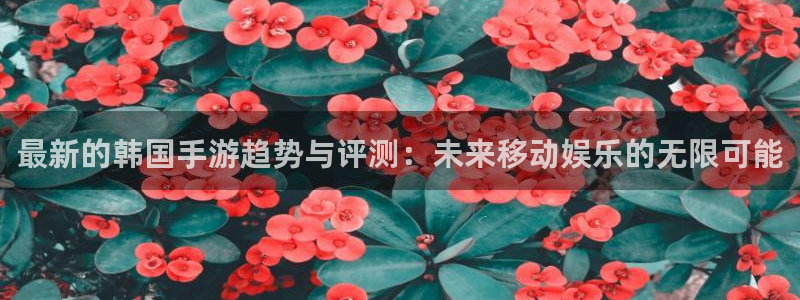 杜邦娱乐登陆：最新的韩国手游趋势与评测：未来移动娱乐的无限可
