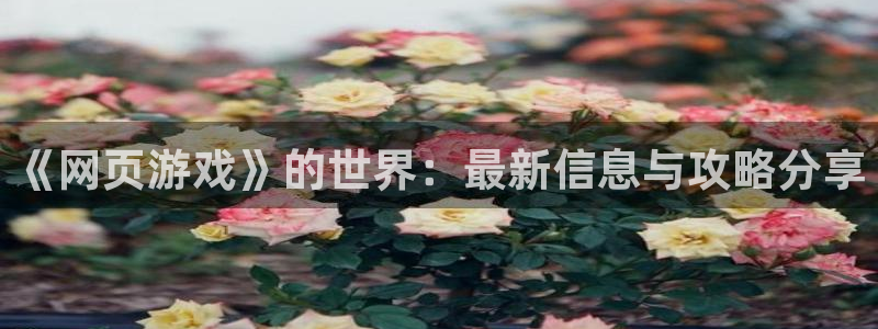 杜邦娱乐是什么