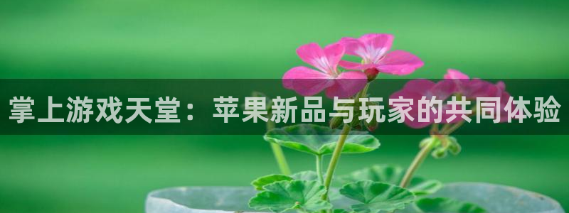 杜邦娱乐测速：掌上游戏天堂：苹果新品与玩家的共同体验